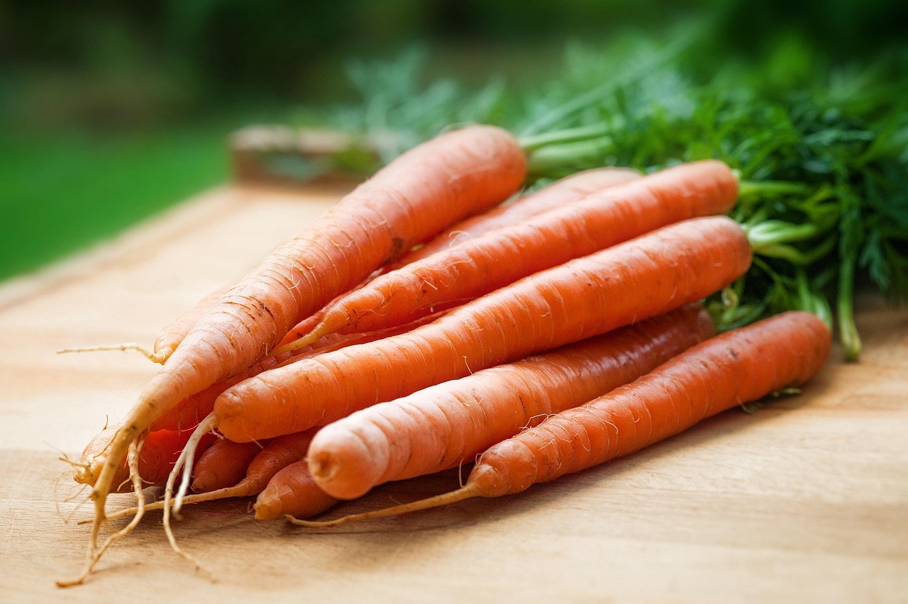 summer-sale carrots, vegetables, harvest, healthy, nutrition, food, produce, fresh, raw, organic, fresh produce, root crops, carotene, vegetarian, ingredients, carrots, carrots, carrots, carrots, carrots
